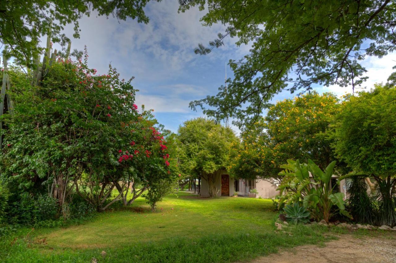 Khoi-Khoi Guesthouse Otavi Exterior foto